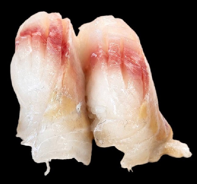 Nigiri Dorada